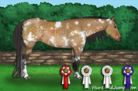Horse Color:White Spotted Buckskin Dun Sabino Rabicano 