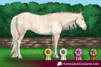 Horse Color:White Spotted Palomino Pearl Dun Sabino 