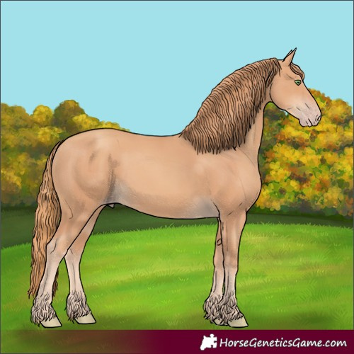 Horse Color:Gold Champagne Rabicano 