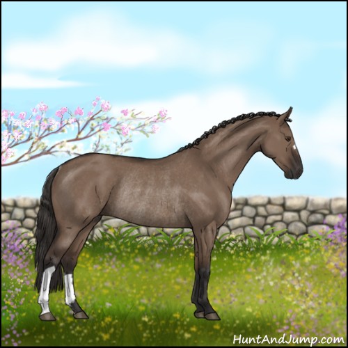 Horse Color:Liver Red Dun Rabicano