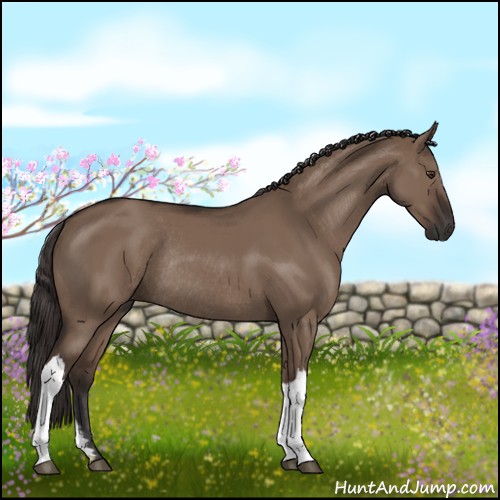 Horse Color:Liver Red Dun Rabicano
