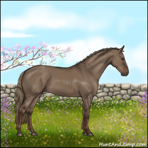 Horse Color:Liver Red Dun Rabicano 