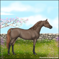 Horse Color:Liver Red Dun Rabicano 