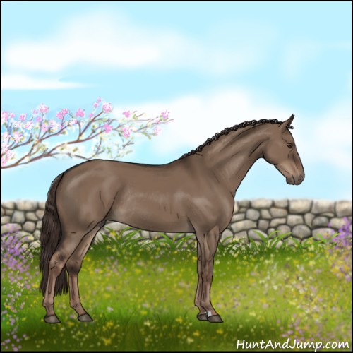 Horse Color:Liver Red Dun Rabicano 