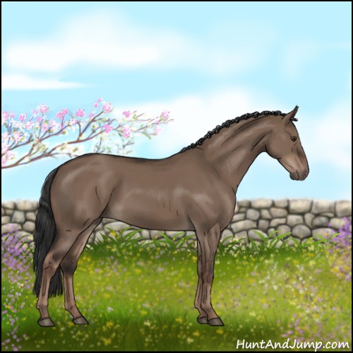 Horse Color:Liver Red Dun Rabicano