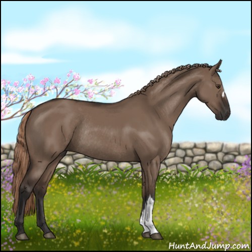 Horse Color:Liver Red Dun Rabicano 