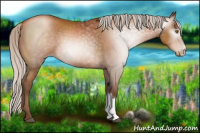Horse Color:Gray Silver Brown Pearl