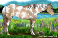 Horse Color:White Spotted Brown Pearl 