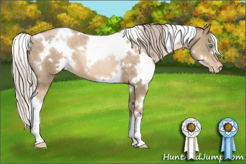 Horse Color:White Spotted Chocolate Palomino Pearl 