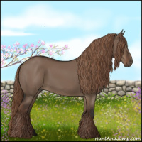 Horse Color:Liver Red Dun Rabicano 