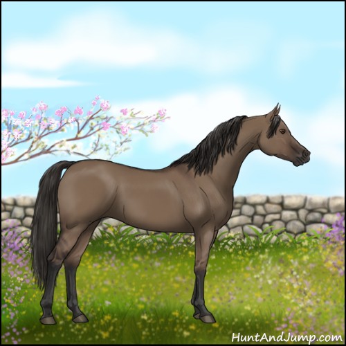 Horse Color:Liver Red Dun Rabicano