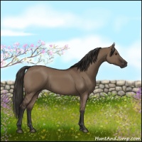 Horse Color:Liver Red Dun Rabicano 