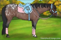 Horse Color:Bay Roan Appaloosa and Bay Roan