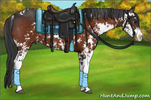 Horse Color:Brown Sabino 