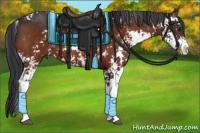 Horse Color:Brown Sabino 