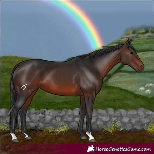 Horse Color:Brown 