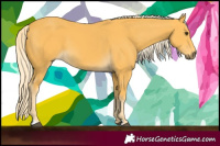 Horse Color:Palomino
