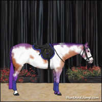 Horse Color:Watercolor Bay Frame