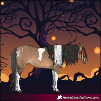 Horse Color:Bay Dun Tobiano