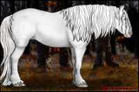 Horse Color:Gold Cream Champagne Pearl Appaloosa 