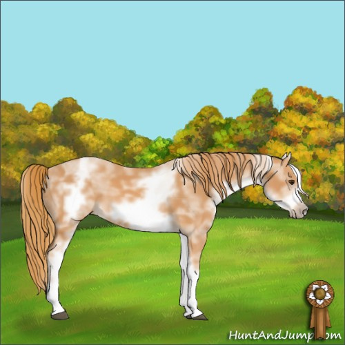 Horse Color:White Spotted Chestnut Sabino Frame 