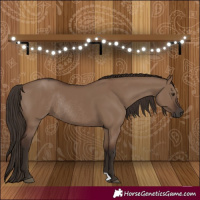 Horse Color:Liver Red Dun Rabicano 
