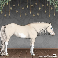 Horse Color:Silver Classic Champagne Dun Splash Frame 