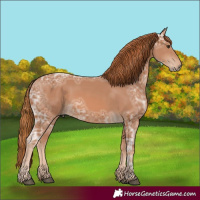 Horse Color:Chestnut Ice 