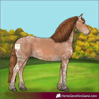 Horse Color:Chestnut Ice 