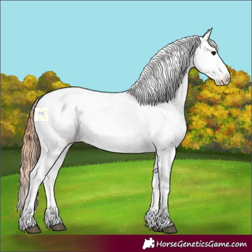 Horse Color:Bay Dun Tobiano Near Leopard 