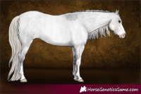 Horse Color:Silver Smoky Blue Roan Sabino 