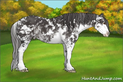 Horse Color:Smoky Black Sabino 