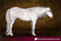 Horse Color:Silver Grullo Roan Sabino 
