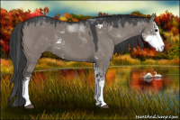 Horse Color:Grullo Sabino 