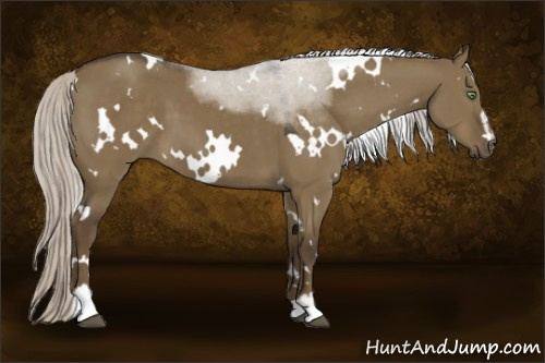 Horse Color:White Spotted Silver Smoky Grullo Sabino 