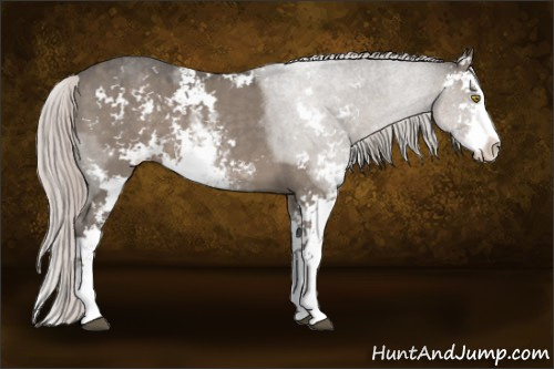 Horse Color:Silver Grullo Sabino 