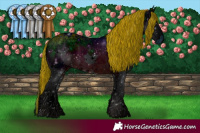 Horse Color:ERROR: UNKNOWN ANOMALY