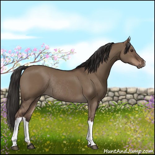 Horse Color:Liver Red Dun Rabicano