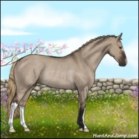 Horse Color:Liver Red Dun Rabicano 