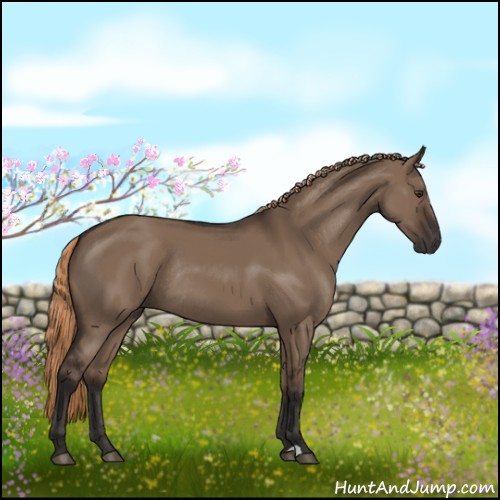 Horse Color:Liver Red Dun Rabicano 