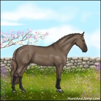 Horse Color:Liver Red Dun Rabicano
