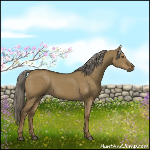 Horse Color:Chocolate Palomino Dun Rabicano