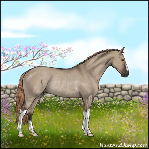 Horse Color:Liver Red Dun Rabicano