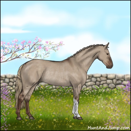 Horse Color:Liver Red Dun Rabicano