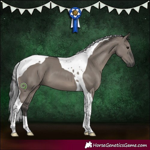 Horse Color:Grullo Tobiano