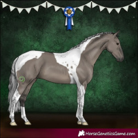 Horse Color:Grullo Tobiano