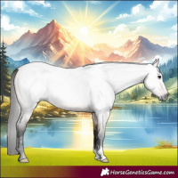 Horse Color:Gray Bay Ice Roan Dun