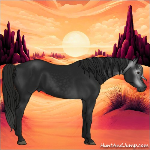 Horse Color:Gray Black 