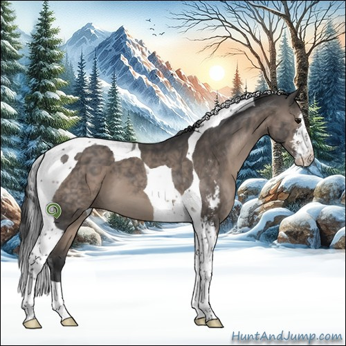 Horse Color:Black Sabino Tobiano 