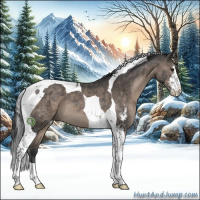 Horse Color:Black Sabino Tobiano